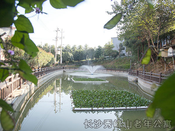环境设施